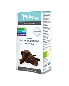 Bach Flower Listlessness 20 ml