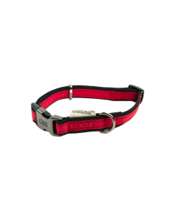 Great&Small Active Halsband Hond Neopreen Rood