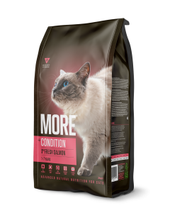 More +Condition Kattenbrokken Adult Zalm