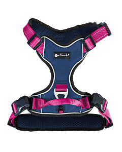 Petlando Magnetech Harnas Blauw & Fuchsia