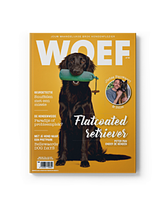 WOEF Magazine - Flatcoated Retriever Juli 2025