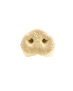 Sapido's Gepofte Varkensneuzen 4 stuks