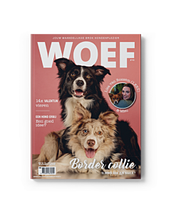WOEF Magazine - Border collie Februari 2026