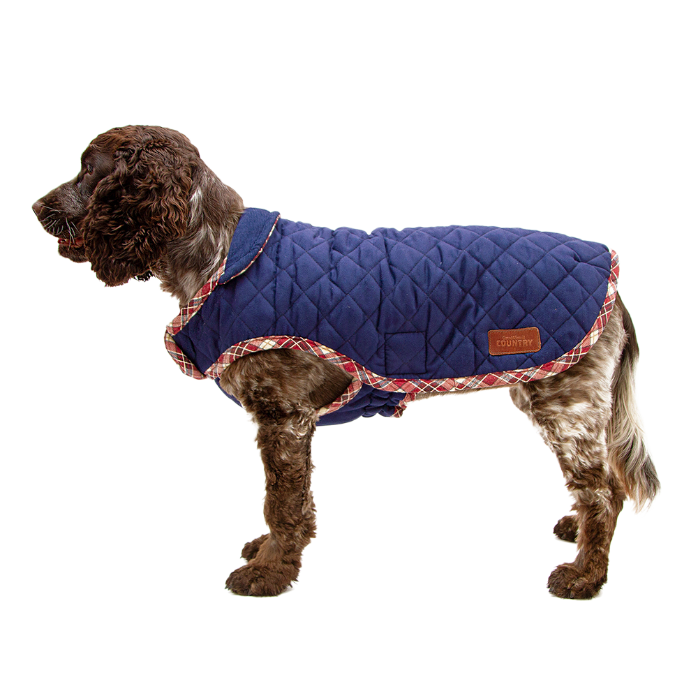Hondenkleding, trendy hondenjas of hondentrui - Pets Place