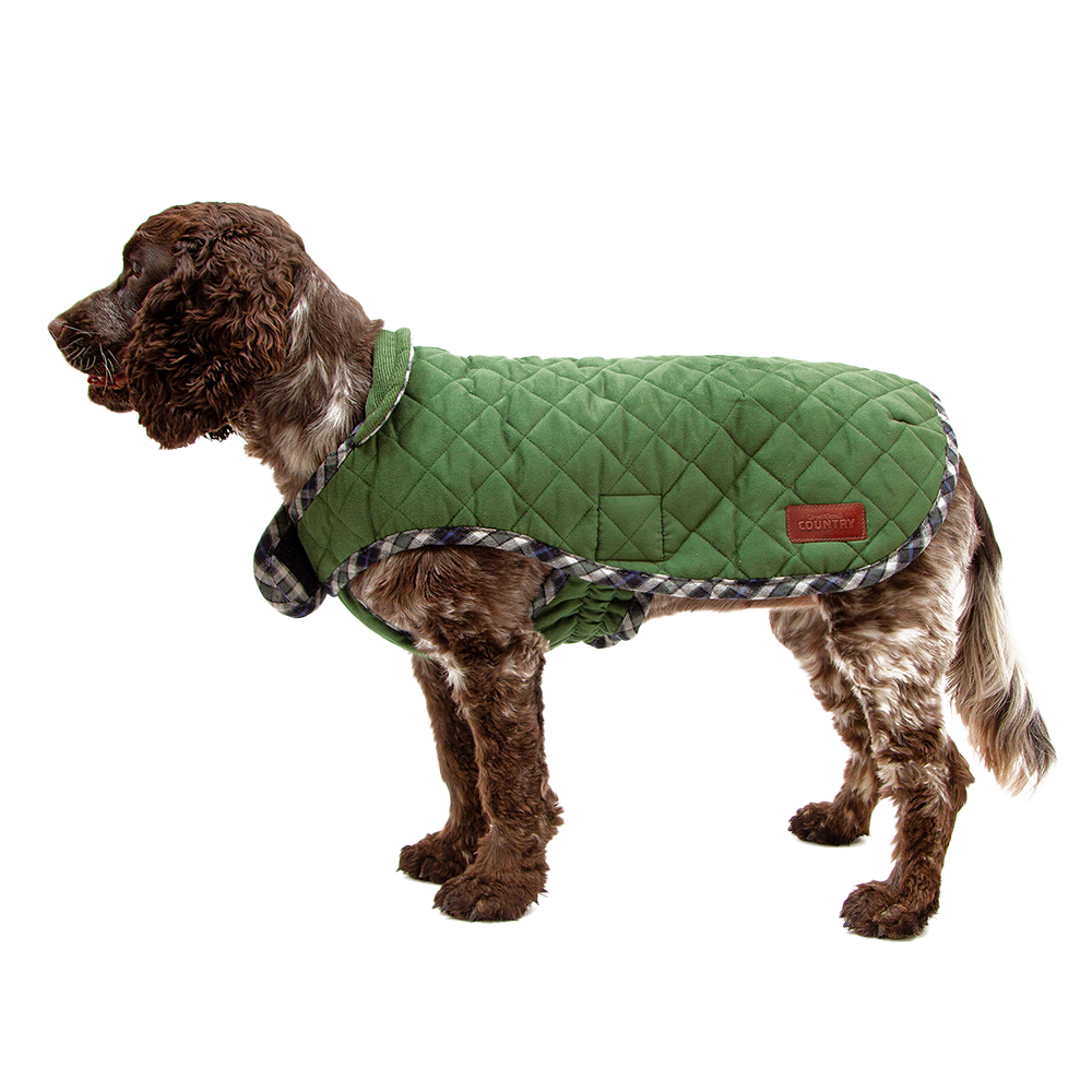 Izefia Veiligheids-hond Hoodies Kleding Winter Sweatshirt Warme Trui