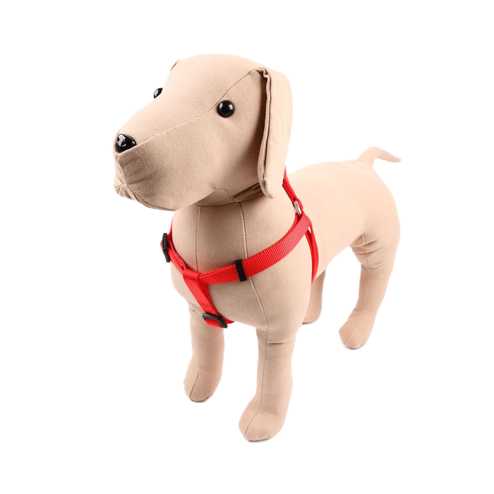 Belka