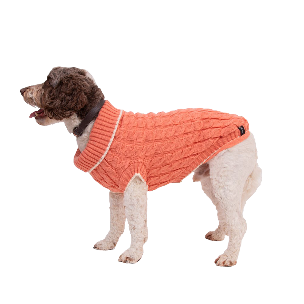 Breipatroon Honden trui met Noors patroon