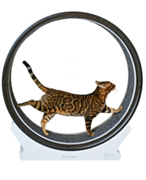 Petlux V2 Loopwiel voor Katten Wit