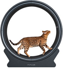 Petlux V2 Loopwiel voor Katten Zwart