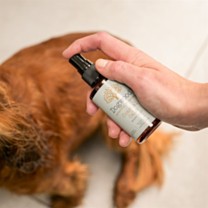 Dogwood Body Mist Kust Kalmte 100 ml