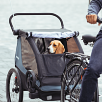 Thule Courier Fietskar Vintage Groen