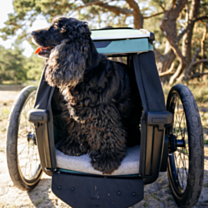 Thule Bexey Hondenfietskar M Groen