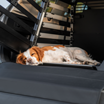 Thule Dog Mat Standard for Allax Car Crates