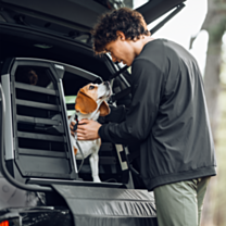 Thule Allax Double Autobench Transportbox S