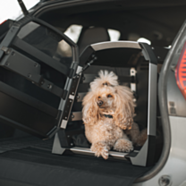 Thule Allax Autobench Transportbox M