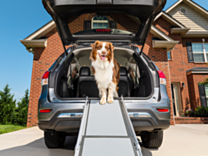 Petsafe Happy Ride Telescopische Hondenloopplank 99-183 x 43 cm