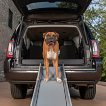 Petsafe Happy Ride Compact Telescopische Hondenloopplank 77-177 x 41 cm