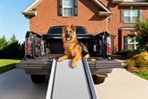 Petsafe Happy Ride Extra Lange Telescopische Hondenloopplank 119-221 x 51 cm