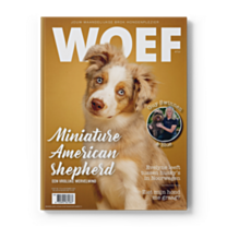 WOEF Magazine - Miniature American Shepherd November 2026 NL