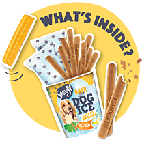 Smoofl Hondenijs banaan 160 g