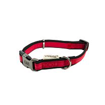 Great&Small Active Halsband Hond Neopreen Rood