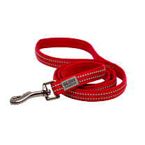 Great&Small Active Dog Lead Red