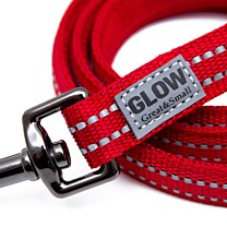 Great&Small Active Dog Lead Red