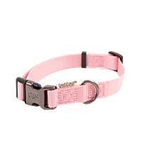 Great&Small Classic Dog Collar Pink