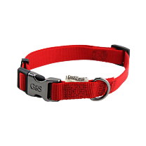 Great&Small Classic Dog Collar Red