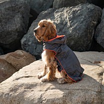 Great&Small Active Foldaway Dog Rain Coat