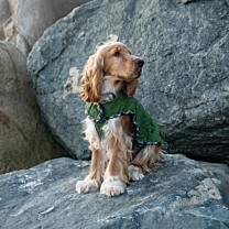 Great&Small Country Quilted Dog Coat Green