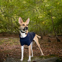 Great&Small Country Fleece Jumper Dog Coat Navy