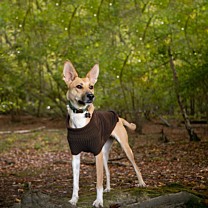 Great&Small Country Fleece Jumper Dog Coat Brown