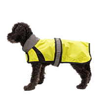 Great&Small Active Dog Coat High-Visibility Running Jacket