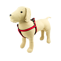 Great&Small Active Harnas Hond Neopreen Rood