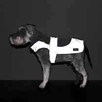 Great&Small Active Reflective Dog Rain Coat Blue Trim