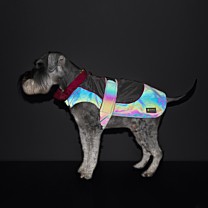 Great&Small Active Reflective Dog Rain Coat Red Trim