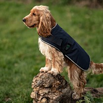 Great&Small Country Padded Dog Coat Blue