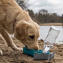 Great&Small Active Drinkfles Hond met Standaard 300 ml