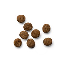 Yora Dry Cat Food Adult Insect
