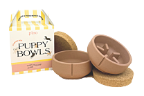 Pino Puppy Box Foxy Terra