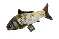 Tabby Tiger Cuddle Fish Carp Tiger Mix 30 cm