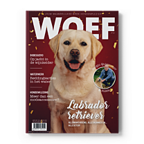 WOEF Magazine - Labrador Retriever Januari 2025