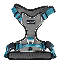 Petlando Magnetech Harness Anthracite & Petrol