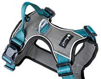 Petlando Magnetech Harness Anthracite & Petrol