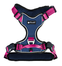 Petlando Magnetech Harness Navy & Fuchsia