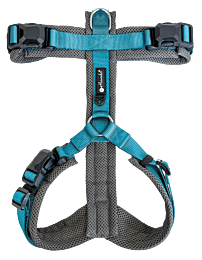 Petlando Magnetech Harness Y-comfort Anthracite & Petrol