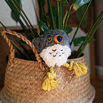 Great & Small Hondenspeelgoed Stay Wild Slechtvalk 8 cm