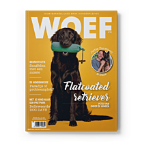 WOEF Magazine - Flatcoated Retriever Juli 2025