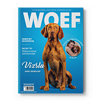WOEF Magazine - Vizsla Augustus 2025